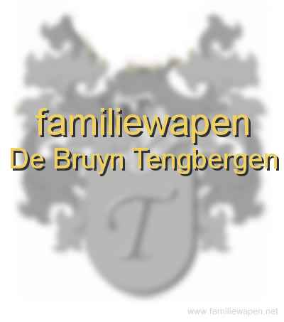 familiewapen De Bruyn Tengbergen